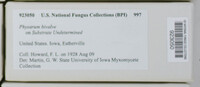 Image Associated With the Occurence